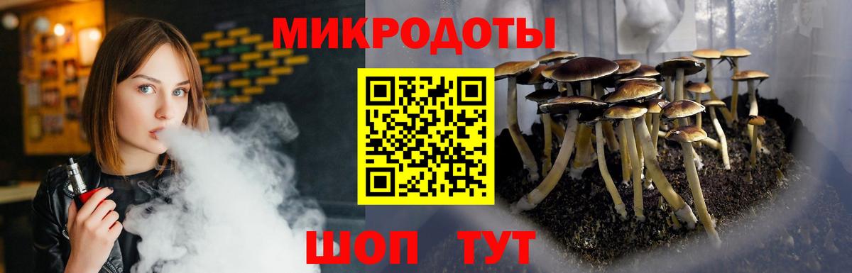Галлюциногенные грибы GOLDEN TEACHER Дальнегорск
